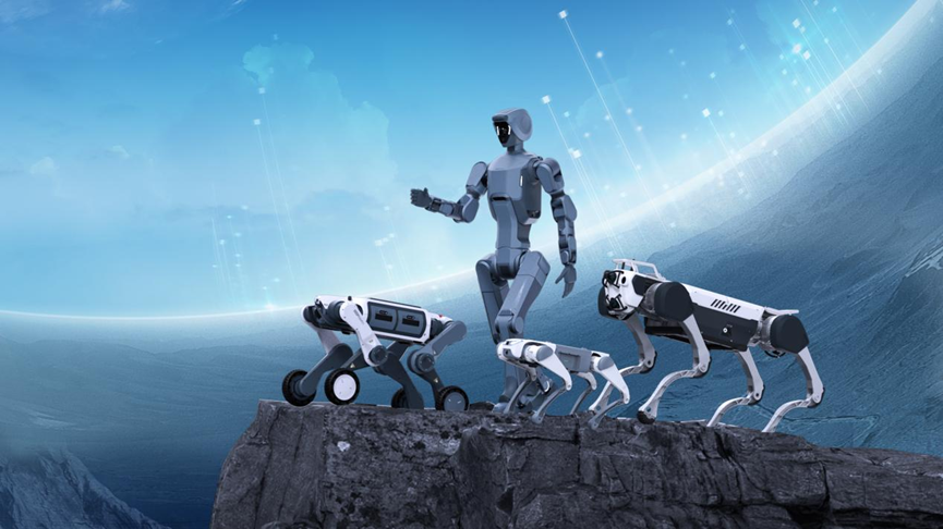 Humanoid Robotics Technology